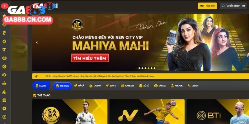 Vài nét cơ bản giới thiệu trên thị trường